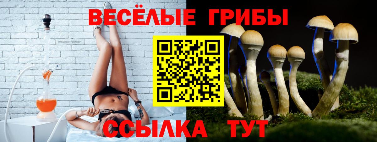 Галлюциногенные грибы Psilocybine cubensis  Бердск 