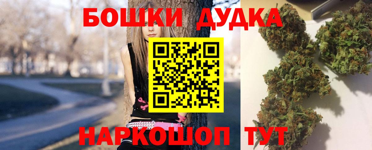 Конопля план  МАРИХУАНА White Widow  Вход с VPN  Бердск 